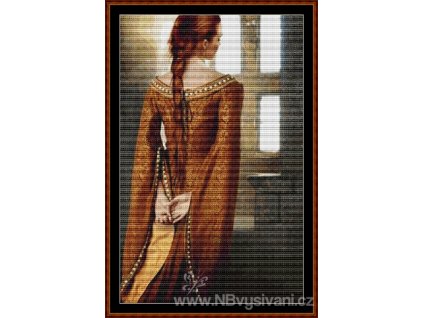 WKD - V okně (Aida 18ct)