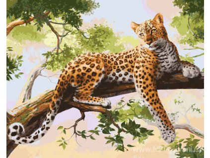 ART-02ART40500122 Malování podle čísel - Leopard (40x50cm)
