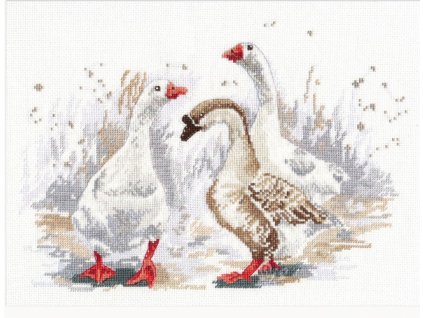 OV-1084 Vánoční husy