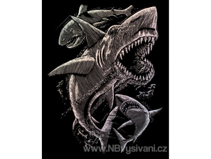 HOLO15 Škrabací obrázek hologram - Žraloci (25x20cm)