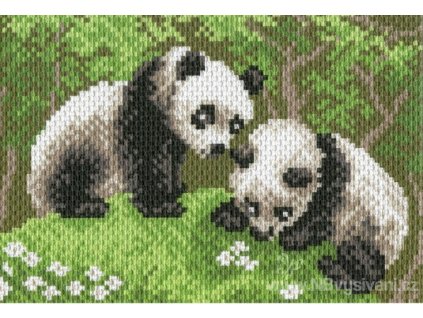 CDA-0516 Pandy