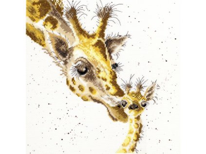 BOT-XHD3 První políbení