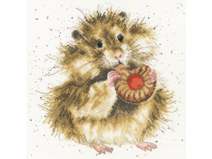 BOT-XHD37 Dieta začíná zítra