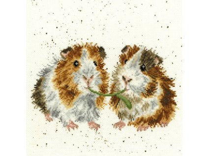 BOT-XHD19 Přátelé salátu