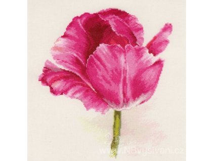 AL2-43 Květ tulipánu