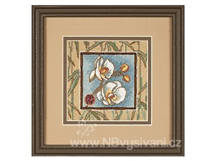 81389 7230 asian orchids asijske orchideje