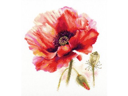 AL2-46 Květ vlčího máku