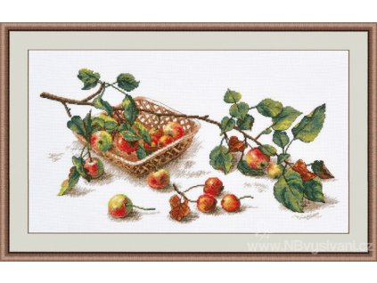 OV-954 Ošatka s jablky