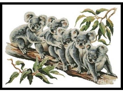 IC24240-13132 Aussie Teddy Bears (Aida 18ct)