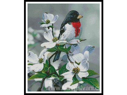 IC21345-12673 Springtime Grosbeak (Aida 18ct)