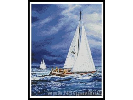 IC2638-10364 Race for Home (Aida 18ct)