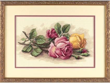 13720 Rose Cuttings - Řezané růže