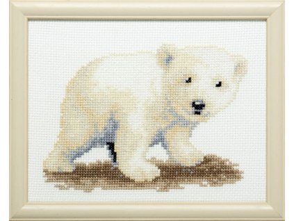 PA210.885 Lední medvídek