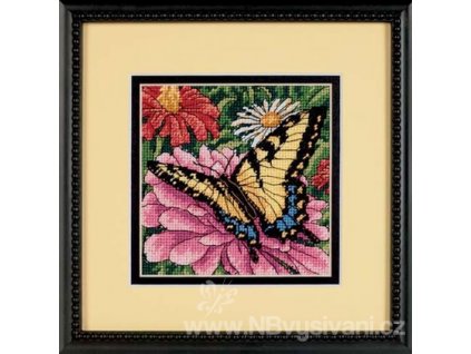 87890 7232 butterfly on zinnia