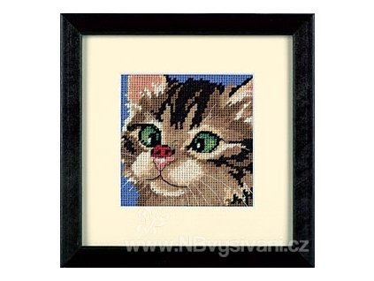 91922 7206 cross eyed kitty silhajici kote