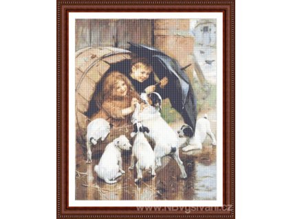 CCS-425adog12 Full Inside (předloha)