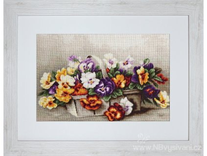 LUC-B503 Košík s maceškami