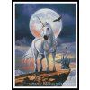 106097 ic17170 11999 unicorn in moonlight predloha