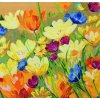 AM5678000-01219 Meadow
