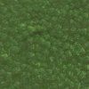 374 Rain Forest