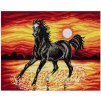 OR1471 Kůň a západ slunce (40x50cm)