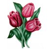 S-43100 Tulipány