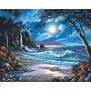 DIM91185 Malování podle čísel - Moonlit Paradise (51x41cm)