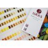 LUC intro2