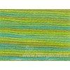 DMC4050 Mouliné Color Variation - Roaming Pastures (8m)