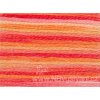 DMC4120 Mouliné Color Variation - Tropical Sunset (8m)
