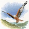 HE-FFRK652 Orel za letu