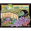 IC9638-1635 Grapes (Aida 14ct)