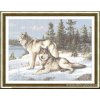 CCS-373aw10 Wolves (předloha)