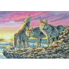 AM5678000-01230 Dawn Hunt