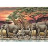 AM5678000-01026 African Sunset