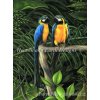 HAED - Macaws (Lugana 25ct)