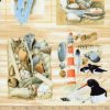 A-PWMB031-SUNSE Beach Treasures - Coastal Collage (30cm)-panel
