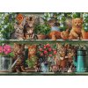 IC21866 Kitchen Cats (Aida 18ct)