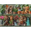 IC21866 Kitchen Cats (Lugana 25ct)