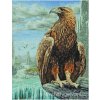 AM5678000-01229 3D Eagle