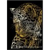 GOLMIN103 Škrabací obrázek zlatý - leopard na stromě...