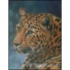 Amur Leopard (Aida 18ct)