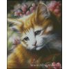 Buttercup (předloha)