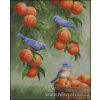 Bluebirds and Peaches (předloha)