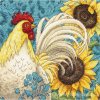 70-65130 Rooster - Kohout