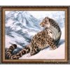 AZDP-1520 Sněžný leopard