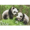 CDA-0516 Pandy