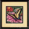 87890 7232 butterfly on zinnia