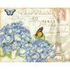 70-35307 Paris Hydrangea - Pařížské hortenzie