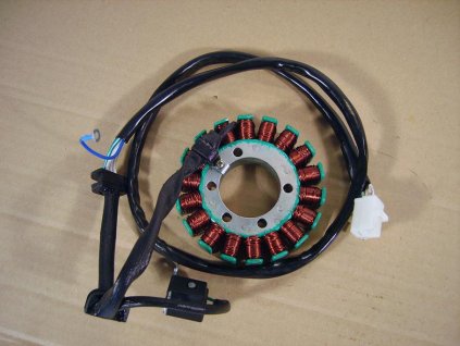 01 - stator magneta